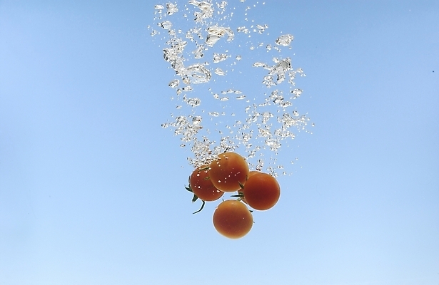 포토 JPG 스튜디오촬영 식물 웰빙 음식 백그라운드 채소 식재료 방울토마토 사람없음 물 농작물 물방울 유기농 미니토마토 국내포토 자연요소 농업 토마토 실내 파일형식