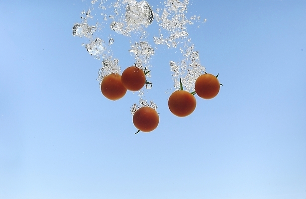 포토 JPG 스튜디오촬영 식물 웰빙 음식 백그라운드 채소 식재료 방울토마토 사람없음 물 농작물 물방울 유기농 미니토마토 국내포토 자연요소 농업 토마토 실내 파일형식