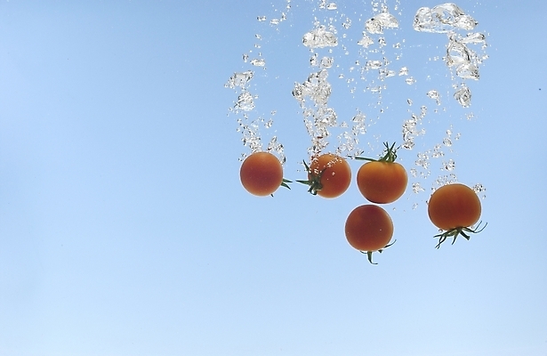 포토 JPG 스튜디오촬영 식물 웰빙 음식 백그라운드 채소 식재료 방울토마토 사람없음 물 농작물 물방울 유기농 미니토마토 국내포토 자연요소 농업 토마토 실내 파일형식