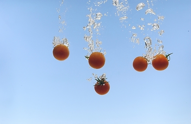 포토 JPG 스튜디오촬영 식물 웰빙 음식 백그라운드 채소 식재료 방울토마토 사람없음 물 농작물 물방울 유기농 미니토마토 국내포토 자연요소 농업 토마토 실내 파일형식