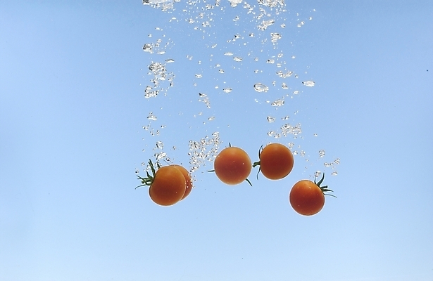 포토 JPG 스튜디오촬영 식물 웰빙 음식 백그라운드 채소 식재료 방울토마토 사람없음 물 농작물 물방울 유기농 미니토마토 국내포토 자연요소 농업 토마토 실내 파일형식