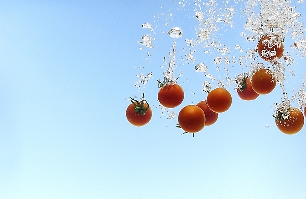 포토 JPG 스튜디오촬영 식물 웰빙 음식 백그라운드 채소 식재료 방울토마토 사람없음 물 농작물 물방울 유기농 미니토마토 국내포토 자연요소 농업 토마토 실내 파일형식