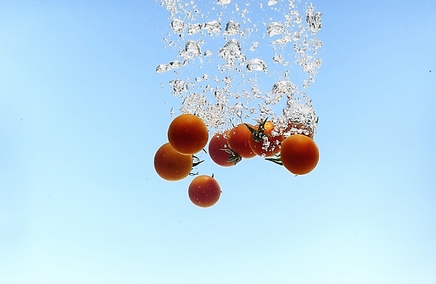 포토 JPG 스튜디오촬영 식물 웰빙 음식 백그라운드 채소 식재료 방울토마토 사람없음 물 농작물 물방울 유기농 미니토마토 국내포토 자연요소 농업 토마토 실내 파일형식