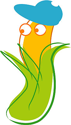 EPS 클립아트 식물 캐릭터 채소 일러스트 식재료 옥수수 사람없음 강냉이 일러캐릭터 곡류 과자 파일형식 벡터