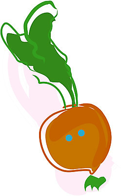 EPS 클립아트 식물 캐릭터 채소 일러스트 식재료 사람없음 사탕무 적환무 일러캐릭터 무 파일형식 벡터