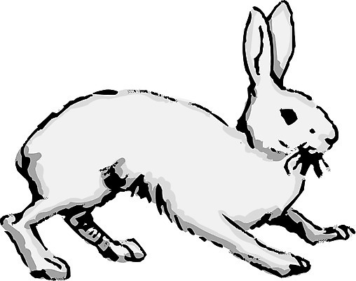 EPS 클립아트 동물 척추동물 한마리 육지동물 일러스트 포유류 초식동물 사람없음 토끼 산토끼 국내일러스트 1 반려동물 파일형식 벡터