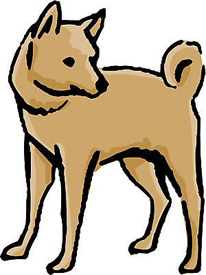 EPS 클립아트 동물 척추동물 한마리 육지동물 반려견 일러스트 포유류 사람없음 반려동물 개 강아지 진돗개 국내일러스트 1 파일형식 벡터