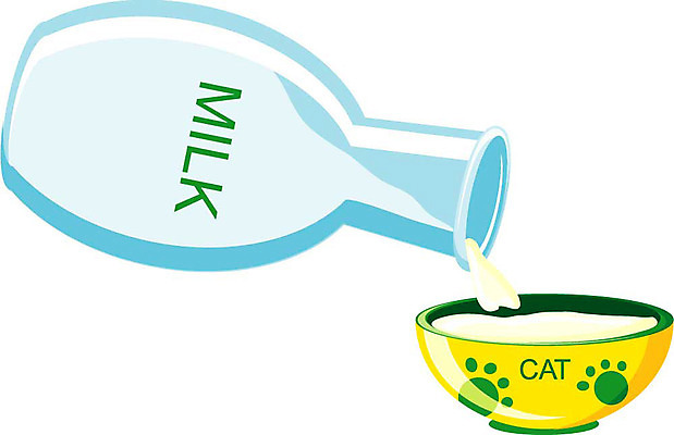 EPS 클립아트 그릇 음료 음식 일러스트 유리병 사람없음 우유 우유병 먹이 오브젝트 먹이그릇 국내일러스트 식기 병_용기 유제품 파일형식 벡터