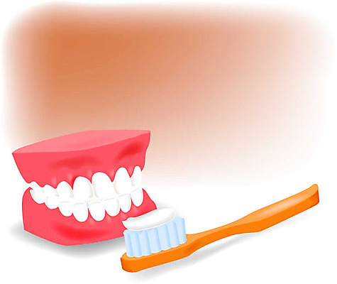 EPS 라이프스타일 일러스트 의학 치과 병원 사람 치료 진료 양치 치아 장기 칫솔 질병 구강 근골격기관 치약 국내일러스트 신체 생활 위생용품 청결 입 소화기관 장기_의학 파일형식 벡터