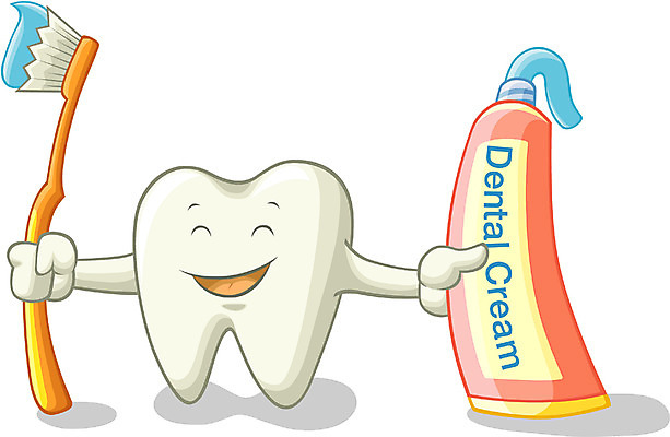 EPS 일러스트 의학 치과 사람없음 치료 치아 장기 칫솔 근골격기관 치약 국내일러스트 신체 병원 위생용품 소화기관 장기_의학 파일형식 벡터