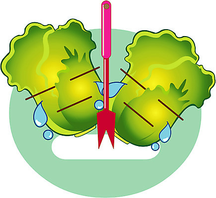 EPS 클립아트 식물 캐릭터 그릇 접시 포크 채소 일러스트 식재료 사람없음 눈물 배추 음식캐릭터 채소캐릭터 일러캐릭터 식기 감정 음식 파일형식 벡터