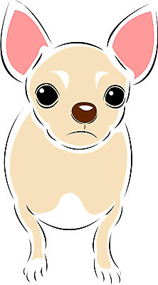 EPS 클립아트 동물 척추동물 한마리 육지동물 반려견 일러스트 포유류 사람없음 반려동물 개 강아지 치와와 국내일러스트 1 파일형식 벡터