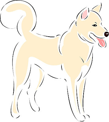 EPS 클립아트 동물 척추동물 한마리 육지동물 반려견 일러스트 포유류 사람없음 반려동물 개 강아지 진돗개 국내일러스트 1 파일형식 벡터