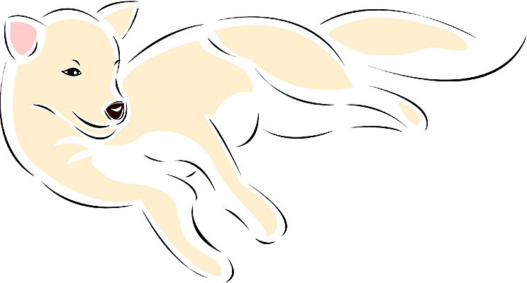 EPS 클립아트 동물 척추동물 한마리 육지동물 반려견 일러스트 포유류 사람없음 반려동물 개 강아지 진돗개 국내일러스트 1 파일형식 벡터