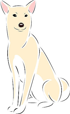 EPS 클립아트 동물 척추동물 한마리 육지동물 반려견 일러스트 포유류 사람없음 반려동물 개 강아지 진돗개 국내일러스트 1 파일형식 벡터