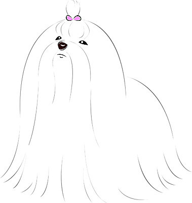 EPS 클립아트 동물 척추동물 한마리 육지동물 반려견 일러스트 포유류 사람없음 반려동물 말티즈 개 강아지 요크셔테리어 국내일러스트 1 테리어 파일형식 벡터