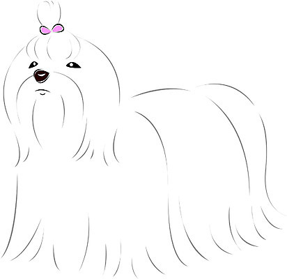 EPS 클립아트 동물 척추동물 한마리 육지동물 반려견 일러스트 포유류 사람없음 반려동물 말티즈 개 강아지 요크셔테리어 국내일러스트 1 테리어 파일형식 벡터