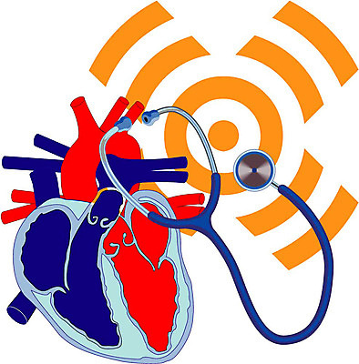 EPS 클립아트 일러스트 해부 의학 인체모형 청진기 의료기기 사람없음 치료 심장 의료용품 장기 오브젝트 순환기관 심장모형 심장해부도 국내일러스트 신체 모형 장기_의학 파일형식 벡터