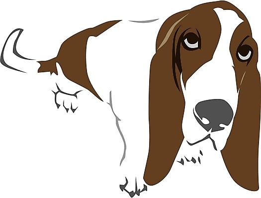 EPS 클립아트 동물 척추동물 한마리 육지동물 반려견 일러스트 포유류 사람없음 반려동물 개 강아지 바셋하운드 반려 국내일러스트 1 하운드 파일형식 벡터