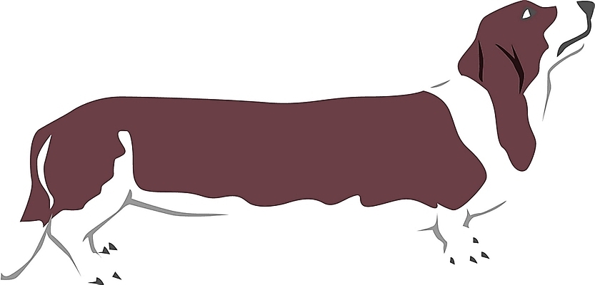 EPS 클립아트 동물 척추동물 한마리 육지동물 반려견 일러스트 포유류 사람없음 반려동물 개 강아지 바셋하운드 반려 국내일러스트 1 하운드 파일형식 벡터