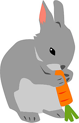 EPS 클립아트 동물 척추동물 한마리 육지동물 일러스트 포유류 초식동물 사람없음 반려동물 당근 십이지신 운세 토끼띠 토끼 산토끼 국내일러스트 1 뿌리채소 파일형식 벡터