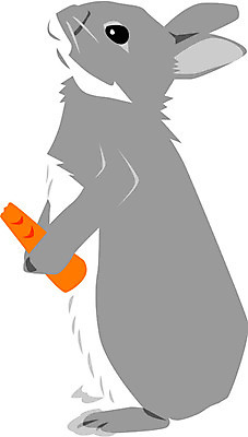 EPS 클립아트 동물 척추동물 한마리 육지동물 일러스트 포유류 초식동물 사람없음 반려동물 당근 십이지신 운세 토끼띠 토끼 산토끼 국내일러스트 1 뿌리채소 파일형식 벡터