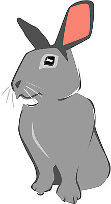 EPS 클립아트 동물 척추동물 한마리 육지동물 일러스트 포유류 초식동물 사람없음 반려동물 십이지신 운세 토끼띠 토끼 산토끼 국내일러스트 1 파일형식 벡터