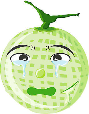 EPS 클립아트 식물 캐릭터 열매 얼굴 과일 일러스트 상상 표정 의인화 형상 초록색 표현 멜론 눈물 묘사 과일캐릭터 멜론캐릭터 일러캐릭터 감정 컬러 신체부위 파일형식 벡터