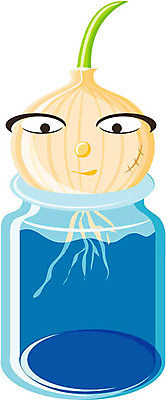 EPS 클립아트 식물 캐릭터 얼굴 채소 일러스트 식재료 상상 양파 유리병 표정 의인화 형상 물 표현 병 묘사 깡패 일러캐릭터 자연요소 식기 병_용기 신체부위 파일형식 벡터