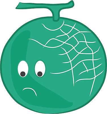 EPS 클립아트 식물 캐릭터 열매 얼굴 과일 일러스트 상상 표정 의인화 형상 초록색 표현 멜론 묘사 과일캐릭터 멜론캐릭터 일러캐릭터 컬러 신체부위 파일형식 벡터