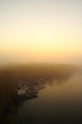 포토 JPG 주간 식물 백그라운드 자연 갈대 풍경 사람없음 야외 강 일출 일몰 안개 풀 강가 억새 해남 고천암 국내포토 자연요소 날씨 노을 전라남도 생태계 파일형식