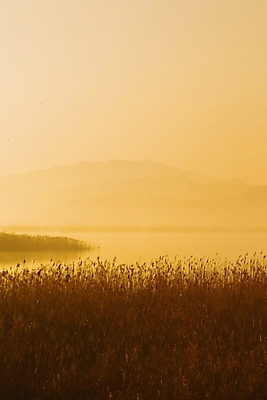 포토 JPG 주간 식물 사계절 계절 백그라운드 자연 하늘 산 갈대 풍경 사람없음 야외 강 가을 풀 억새 해남 고천암 국내포토 자연요소 전라남도 생태계 파일형식