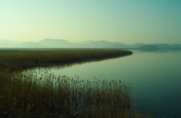 포토 JPG 주간 식물 사계절 계절 배경화면 백그라운드 자연 갈대 풍경 사람없음 야외 강 가을 풀 강가 억새 해남 고천암 국내포토 자연요소 전라남도 생태계 파일형식