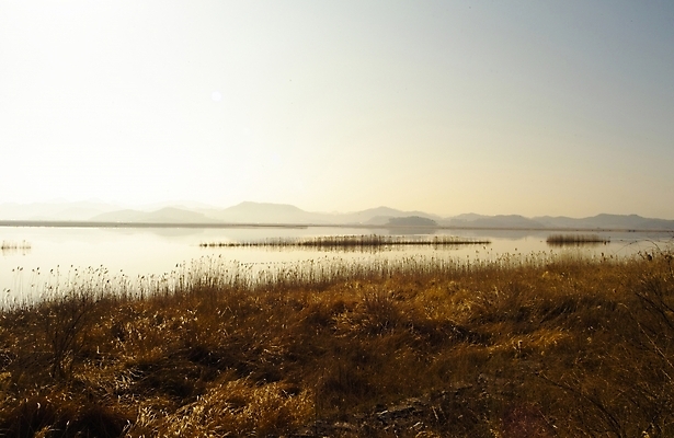 포토 JPG 주간 식물 백그라운드 자연 하늘 갈대 풍경 사람없음 야외 강 일출 풀 강가 억새 해남 고천암 국내포토 자연요소 노을 전라남도 생태계 파일형식