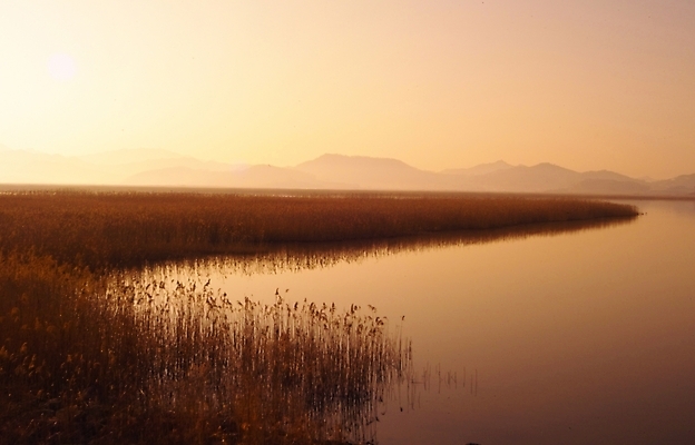 포토 JPG 주간 식물 백그라운드 자연 하늘 갈대 풍경 사람없음 야외 강 노을 일몰 풀 강가 억새 해남 고천암 국내포토 자연요소 전라남도 생태계 파일형식