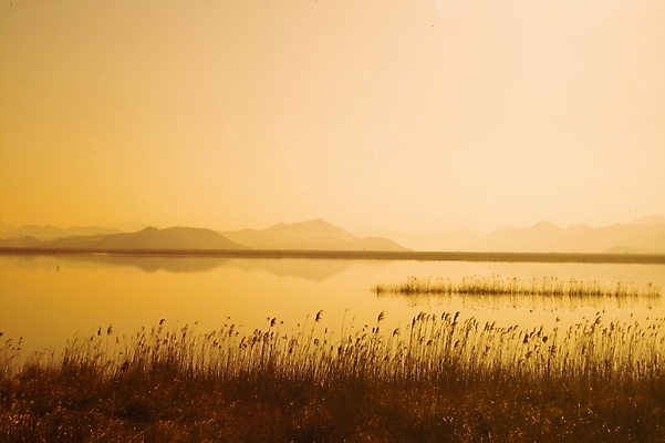 포토 JPG 주간 식물 배경화면 백그라운드 자연 하늘 갈대 풍경 사람없음 야외 강 노을 일몰 풀 강가 억새 해남 고천암 국내포토 자연요소 전라남도 생태계 파일형식