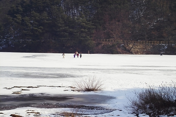 포토 JPG 주간 나무 식물 사계절 계절 호수 외국문화 겨울 자연 산 사람 풍경 야외 얼음 눈 오세아니아 호주 산정호수 국내포토 자연요소 나라 문화 날씨 생태계 파일형식 포천