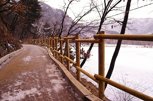 포토 JPG 주간 나무 식물 사계절 계절 길 백그라운드 겨울 자연 풍경 사람없음 야외 울타리 눈 산정호수 국내포토 자연요소 호수 날씨 담장 생태계 파일형식 포천