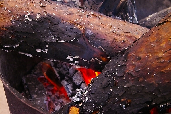 포토 JPG 주간 나무 사람없음 야외 장작 모닥불 불씨 국내포토 자연요소 식물 불 파일형식