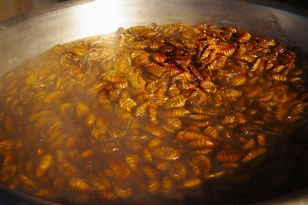 포토 JPG 음식 디저트 사람없음 번데기 국내포토 파일형식