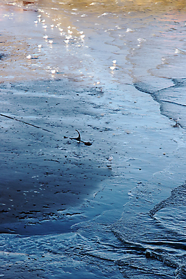 포토 JPG 해외이미지 동물 구름 야생동물 모래 파도 바다 포즈 날개 자연 갈매기 조류 낚시 항해 사람없음 물 여름 파란색 빛 평화 환경 맑음 펼침 자유 흰색 만 그룹 우아함 닫기 깃털 아일랜드 닻 고립 독립 무료 해외202004 해외포토 자연요소 계절 유럽 컬러 컨셉 배_교통 모션 레저 날씨 생태계 파일형식 이미지허브