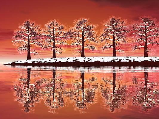 포토 JPG 해외이미지 나무 계절 행복 호수 백그라운드 크리스마스 겨울 일러스트 자연 하늘 휴가 새로움 산 미술 풍경 사람없음 야외 빨간색 물 빛 반사 3D 일출 얼음 검은색 일몰 추위 흰색 시골 개울 야간 저녁 숲 연도 그림 만들기 수평선 해외202004 해외포토 자연요소 식물 기념일 감정 컬러 컨셉 모션 문화예술 강 노을 디지털합성 생태계 파일형식 이미지허브