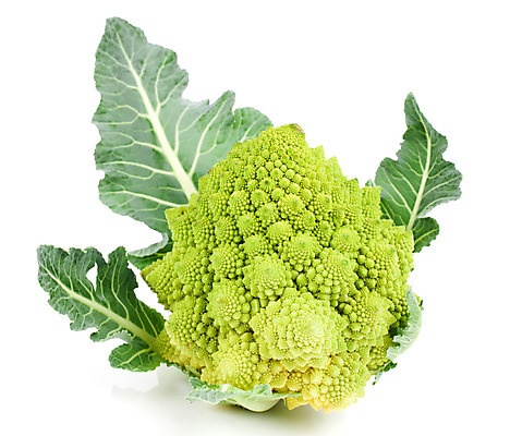 포토 JPG 해외이미지 식물 계절 꽃 음식 농업 채소 재료 건강 사람없음 초록색 흰색 신선 상품 브로콜리 먹기 양배추 날것 고립 로마네스크 로마인 브뤼셀 생식 채식주의자 비건 해외202004 해외포토 산업 컬러 모션 인종 채식 파일형식 이미지허브