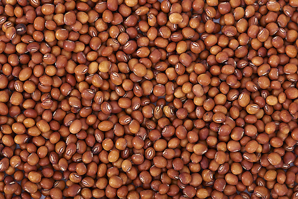 포토 JPG 해외이미지 식물 음식 농업 재료 건조 건강 씨앗 동양인 사람없음 빨간색 가득함 날것 내추럴 단백질 식용 원자재 인기 채식주의자 세련 해외202004 해외포토 산업 컬러 인종 채식 영양소 파일형식 이미지허브