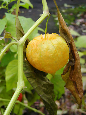 포토 JPG 해외이미지 사람없음 해외202004 해외포토 파일형식 이미지허브