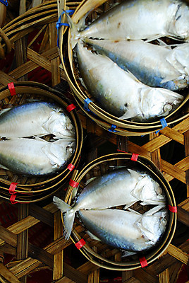 포토 JPG 해외이미지 백그라운드 태국 자연 어류 동양인 사람없음 농장 세일 바구니 죽음 신선 시장 은색 수증기 시원함 참치 해산물 대나무 꼬리 고등어 내추럴 해외202004 해외포토 나무 아시아 컬러 농업 인종 수중동물 생태계 파일형식 이미지허브