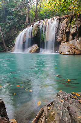 포토 JPG 해외이미지 나무 식물 공원 잎 모션 태국 자연 휴가 휴식 풍경 사람없음 목재 초록색 물 강 놀람 봄 폭포 흐름 가을 신선 개울 숲 시원함 순수 즐거움 에메랄드 천국 내추럴 삼림지대 파라다이스 현재 해외202004 해외포토 자연요소 계절 공공시설 감정 아시아 컬러 컨셉 재료 표정 보석 생태계 파일형식 이미지허브
