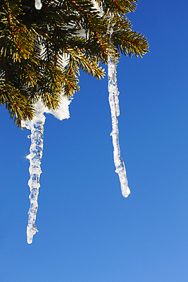 포토 JPG 해외이미지 계절 크리스마스 겨울 자연 하늘 휴가 휴식 산 그림자 풍경 사람없음 야외 파란색 햇빛 평화 맑음 얼음 추위 흰색 신선 숲 12월 11월 가루 스위스 언덕 서리 암초 마법 1월 웅장함 눈내림 겨울풍경 해외202004 해외포토 자연요소 기념일 유럽 컬러 컨셉 날씨 눈_날씨 태양 날짜 생태계 파일형식 이미지허브