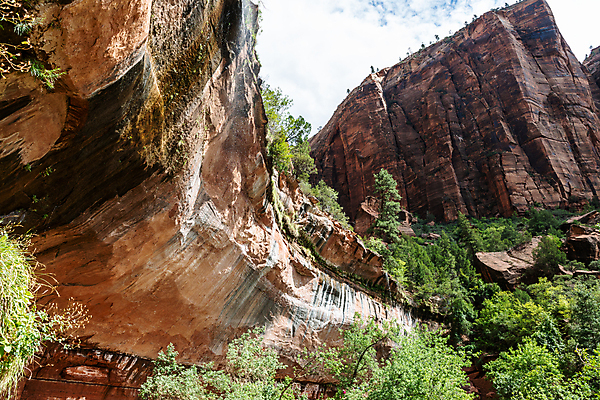 포토 JPG 해외이미지 공원 여행 북아메리카 자연 수영장 풍경 사람없음 야외 물 환경 미국 땅 에메랄드 방문 서쪽 시온산 전국 해외202004 해외포토 자연요소 공공시설 아메리카 보석 방향 생태계 파일형식 이미지허브