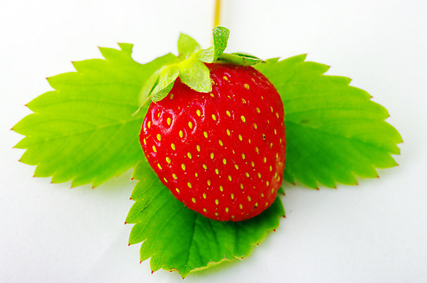 포토 JPG 해외이미지 1 잡화 열매 음식 잎 다이어트 과일 딸기 디저트 건강 씨앗 사람없음 빨간색 초록색 여름 컬러풀 주스 봄 성장 흰색 신선 시장 선택 달콤 맛 아침식사 유혹 잼 설탕 먹기 레시피 루비 숙성 영양소 해외202004 해외포토 식물 계절 음료 컬러 컨셉 모션 식사 소스_음식 보석 파일형식 이미지허브